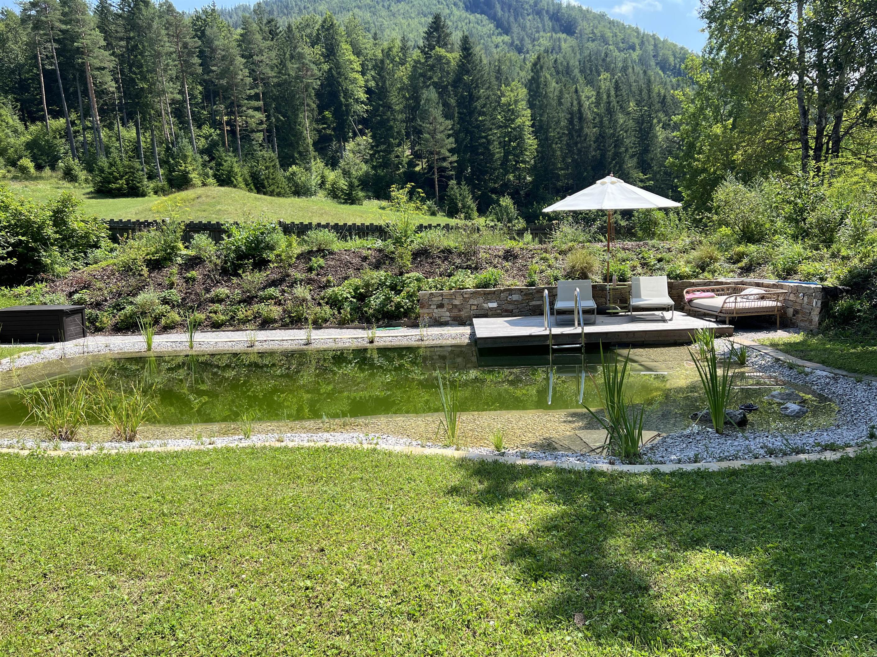 Schwimmteich